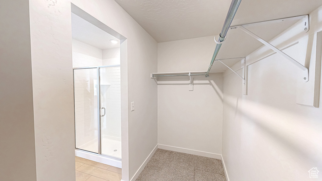 Spacious closet featuring light carpet