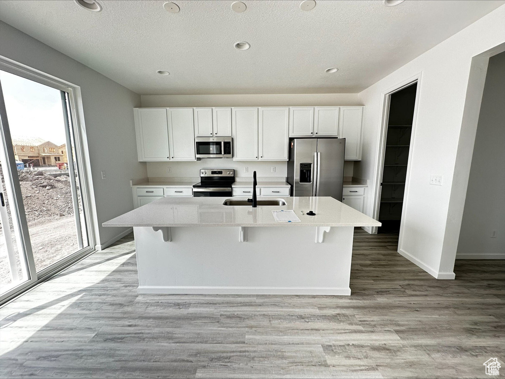 Kitchen with light wood-style flooring, appliances with stainless steel finishes, white cabinetry, and a sink