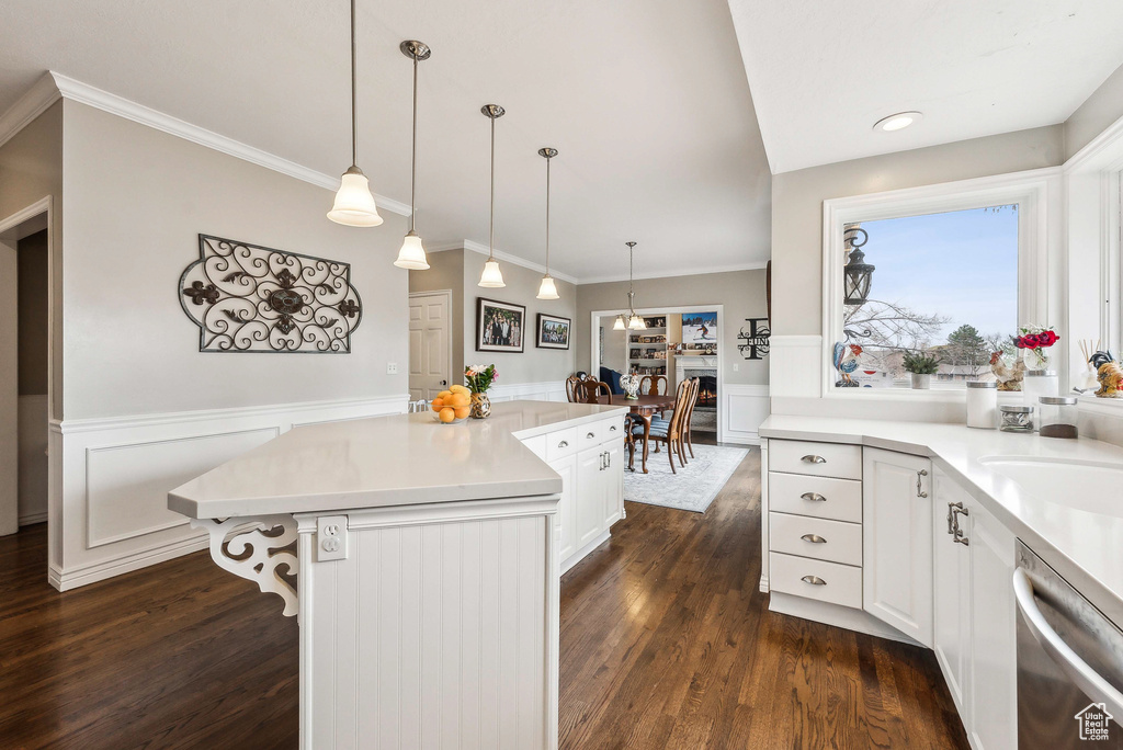 Kitchen featuring dark wood-style floors, a wainscoted wall, light countertops, and stainless steel dishwasher