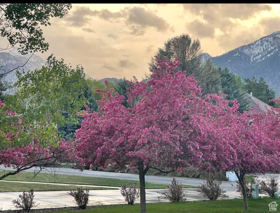 Property view of mountains
