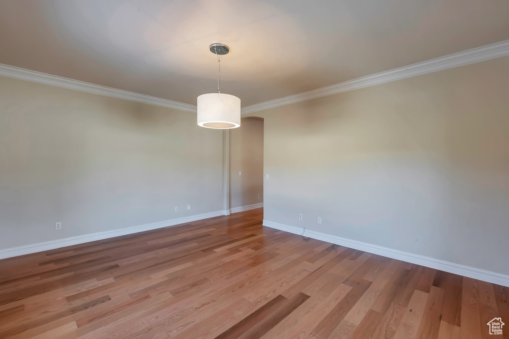 Unfurnished room featuring crown molding, baseboards, and light wood-style floors