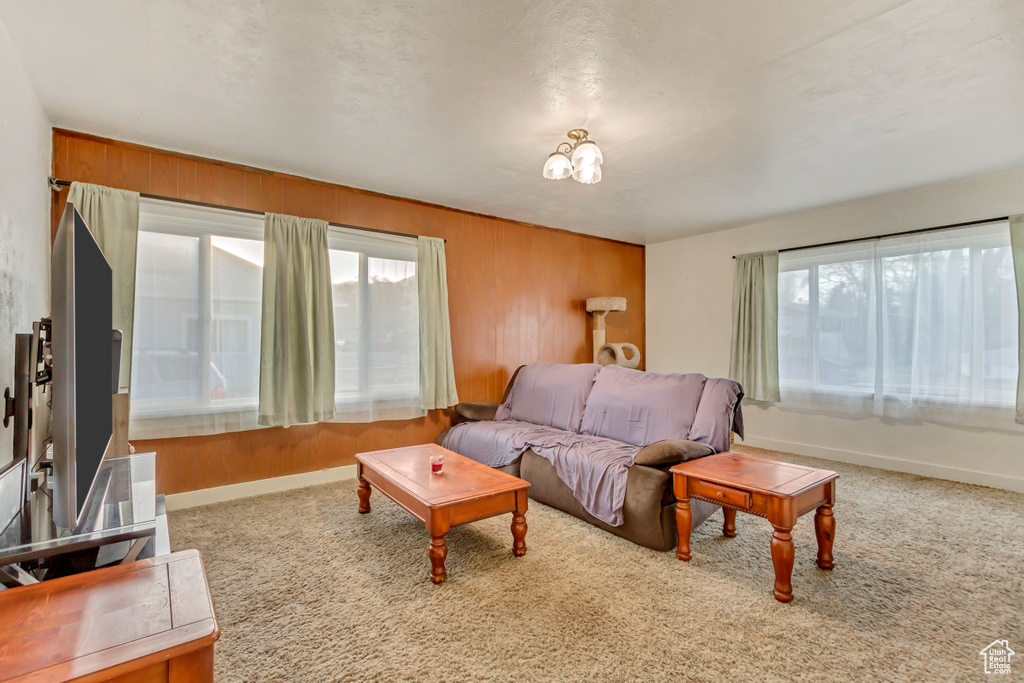 Living room featuring baseboards, carpet, and wooden walls