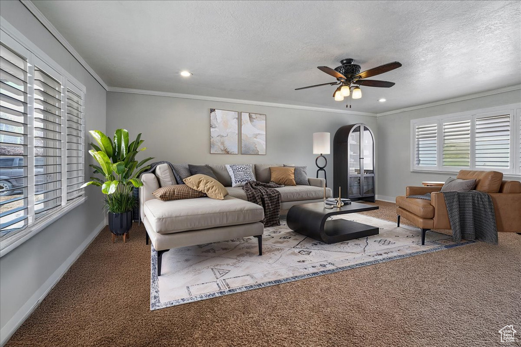Carpeted living area featuring ornamental molding, a ceiling fan, a textured ceiling, arched walkways, and baseboards