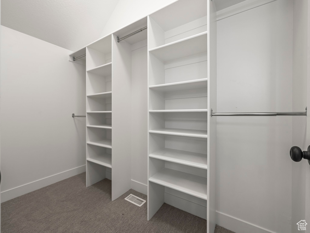 Walk in closet with carpet and visible vents