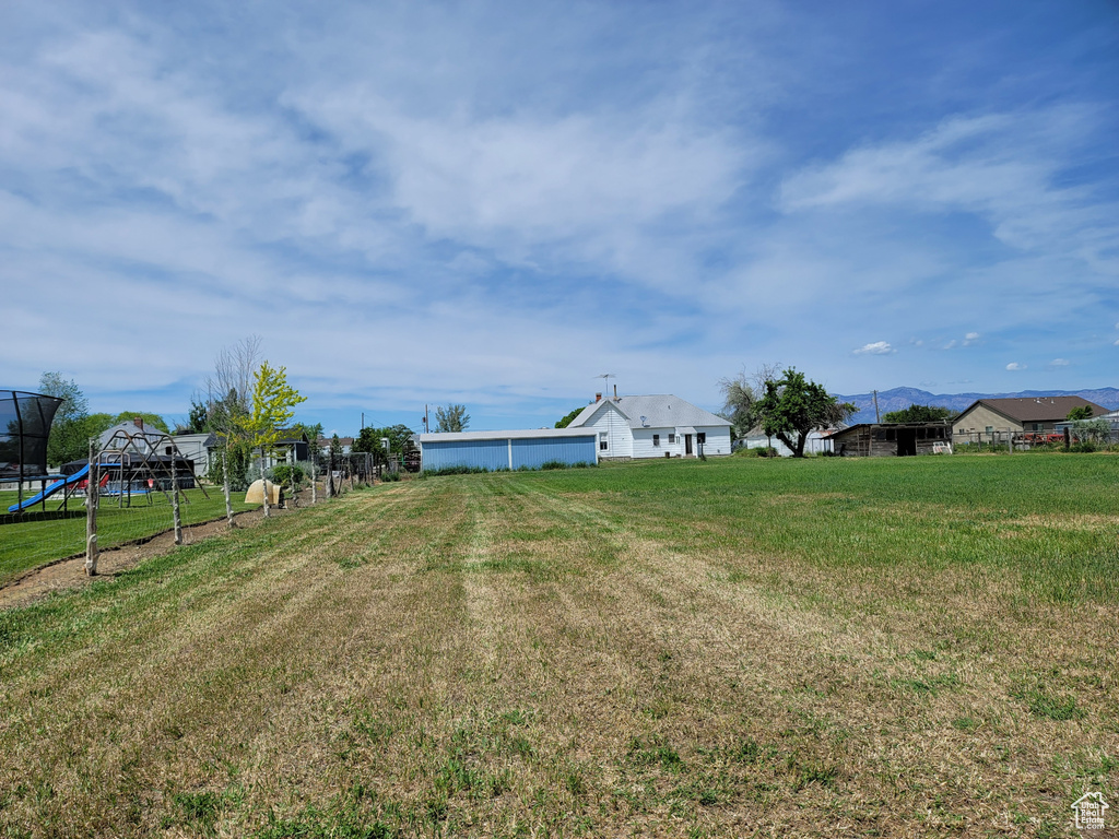 View of green lawn with a trampoline