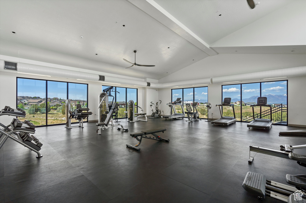 Gym featuring vaulted ceiling, plenty of natural light, and ceiling fan