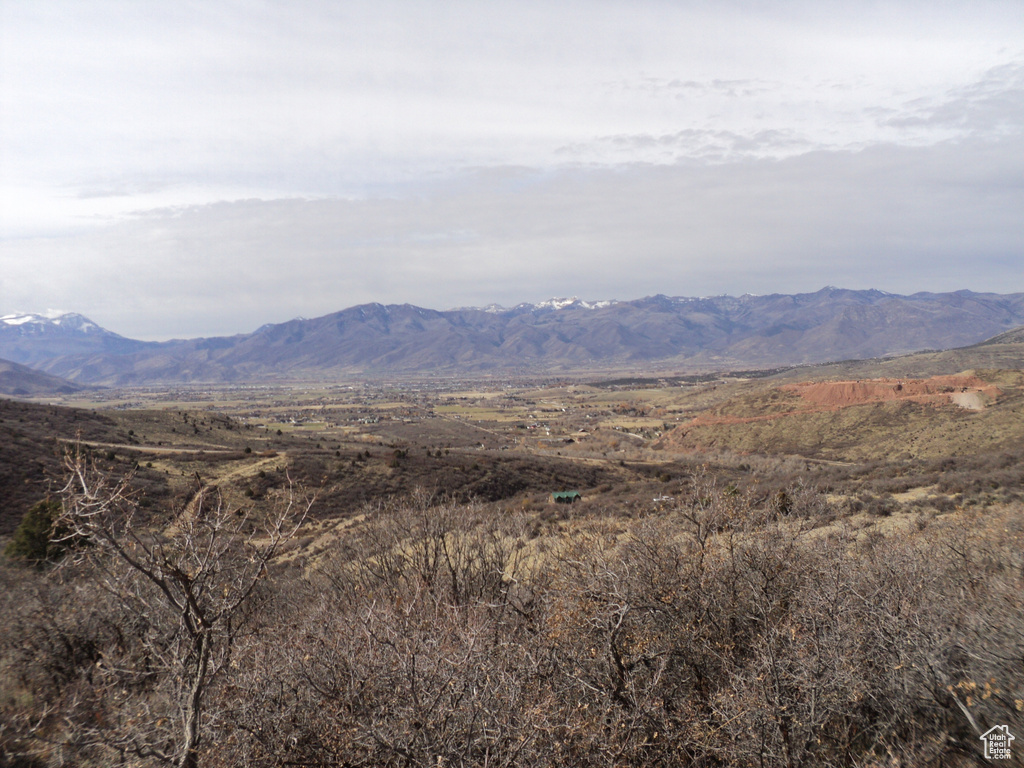 Mountain view