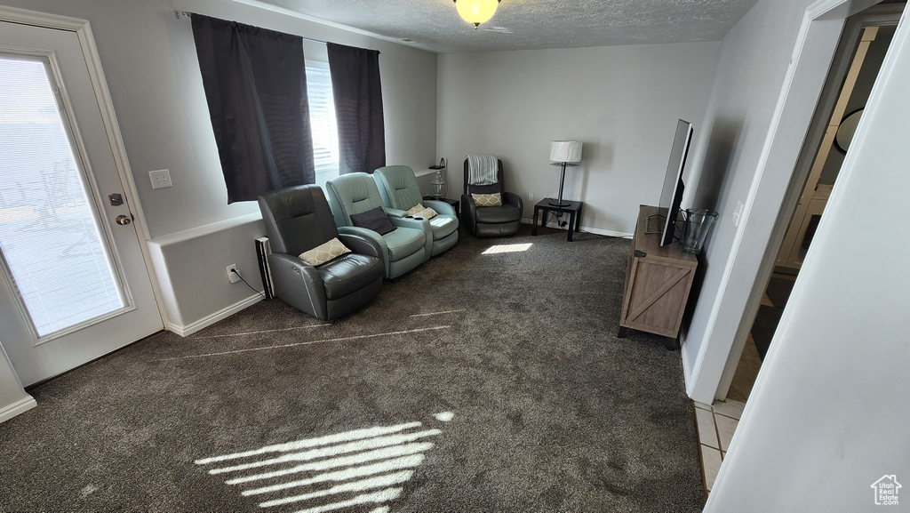 Living area featuring a textured ceiling and carpet floors