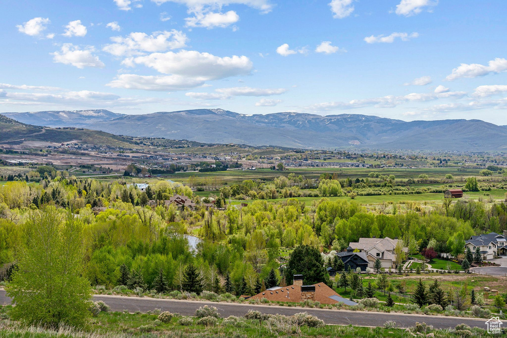 Mountain view
