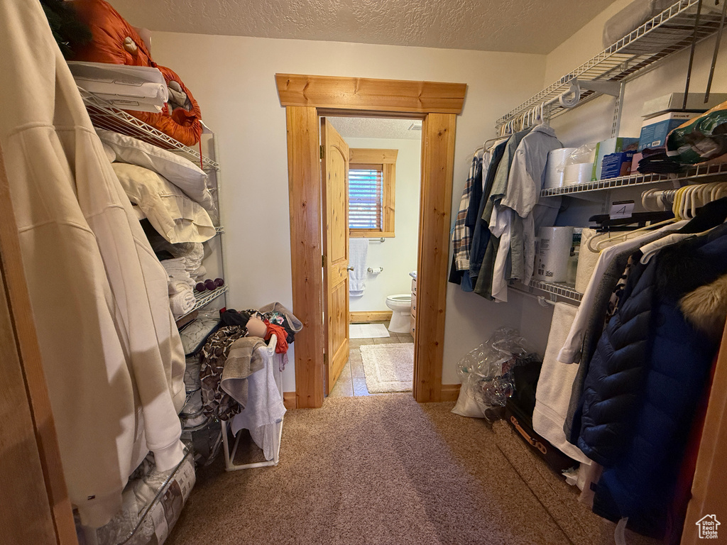 Spacious closet with carpet