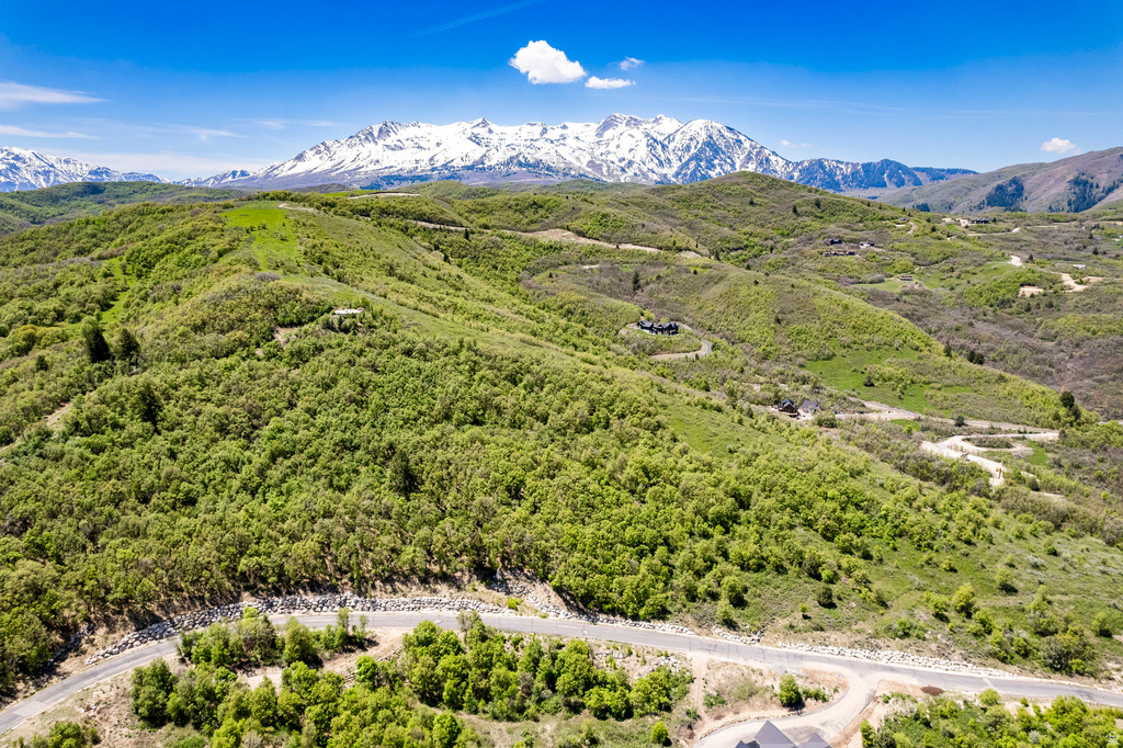 6567 E CHAPARRAL RD Huntsville, UT 84317