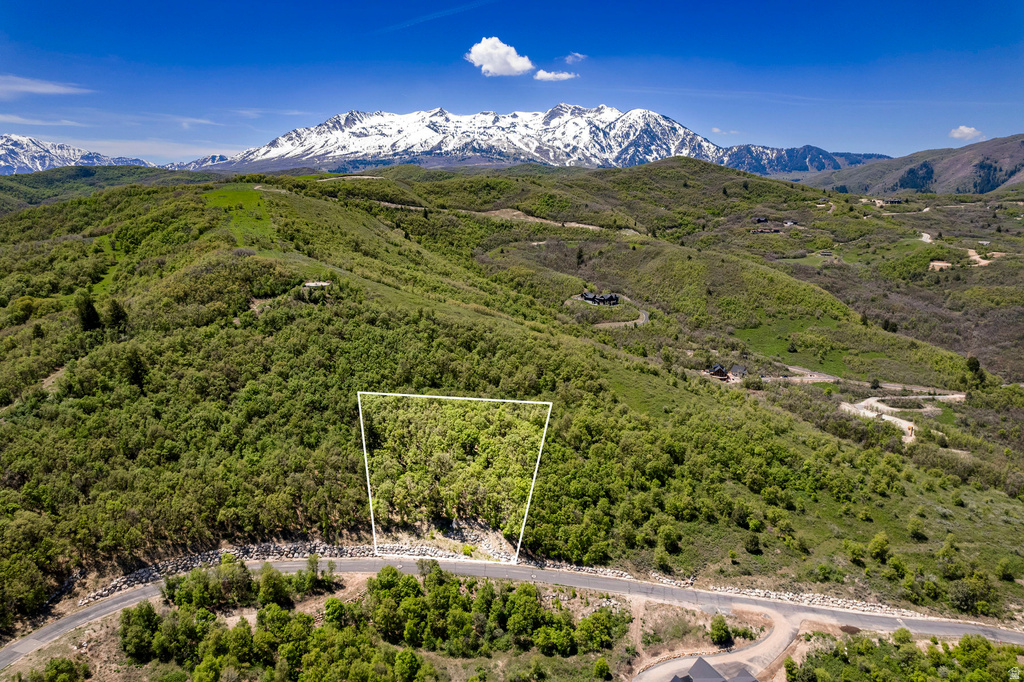 6567 E CHAPARRAL RD Huntsville, UT 84317