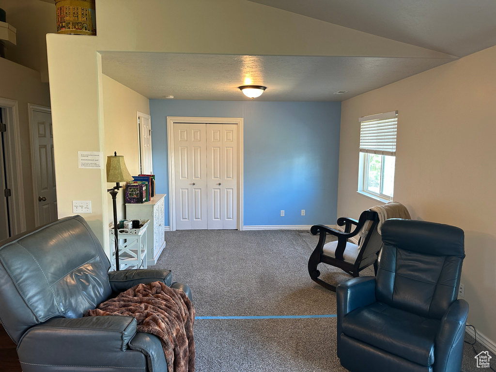 Sitting room featuring carpet floors, baseboards, and vaulted ceiling