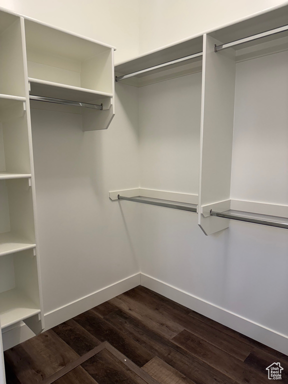 Walk in closet with dark wood finished floors