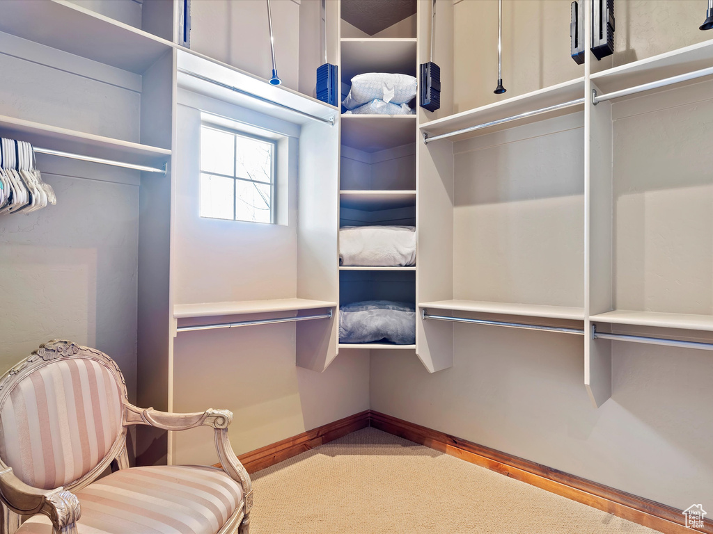Spacious closet featuring carpet