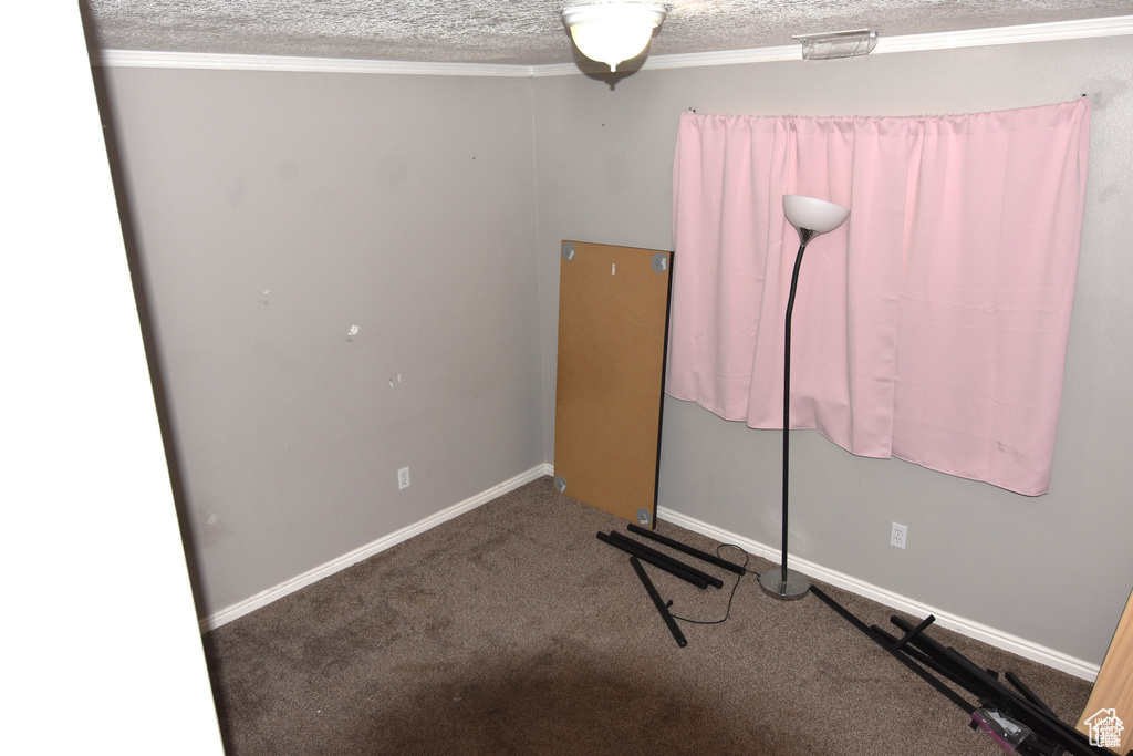Interior space with ornamental molding, carpet flooring, baseboards, and a textured ceiling
