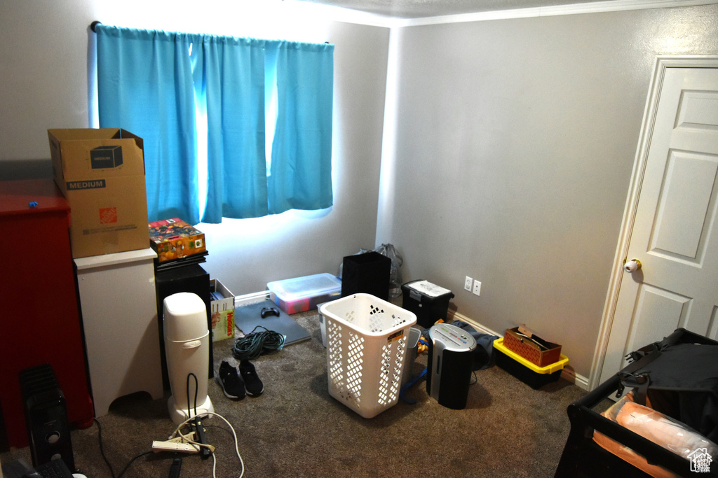 Bedroom featuring carpet floors