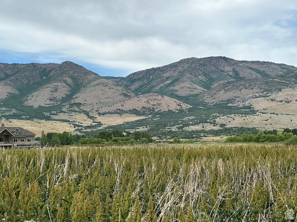 View of mountain backdrop