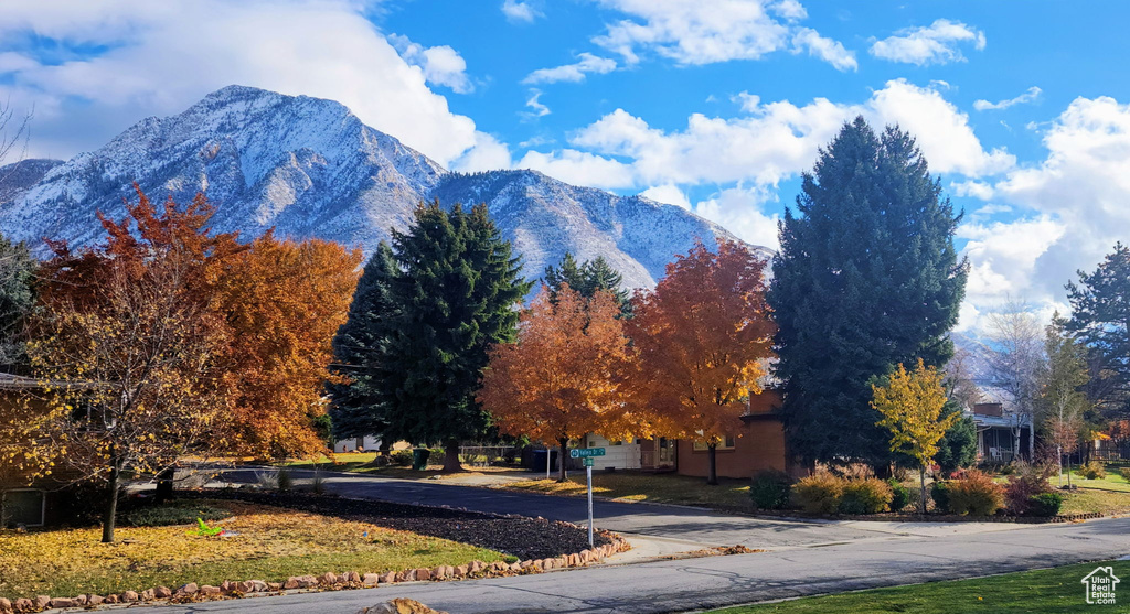 Mountain view
