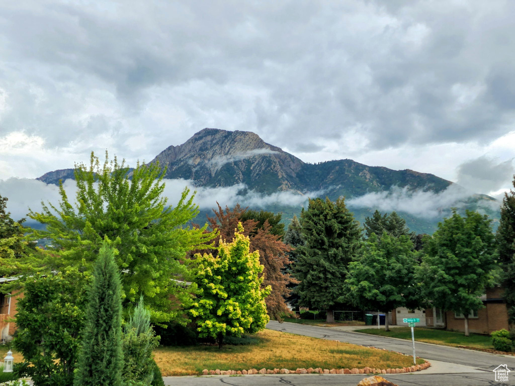 View of mountain background