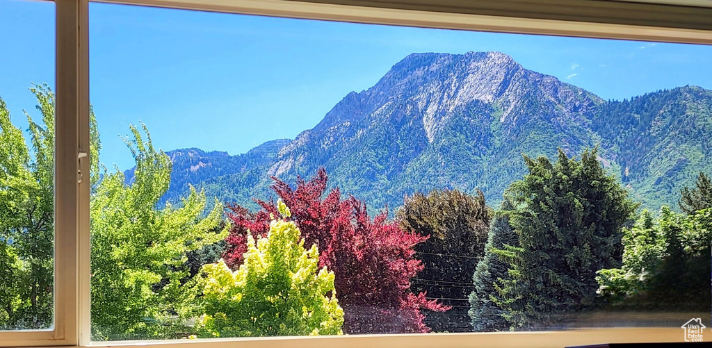 Mountain view