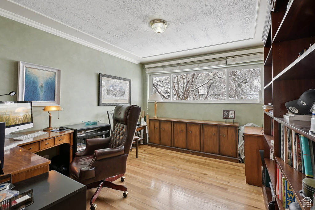 Home office featuring ornamental molding, a textured ceiling, and light wood-style floors