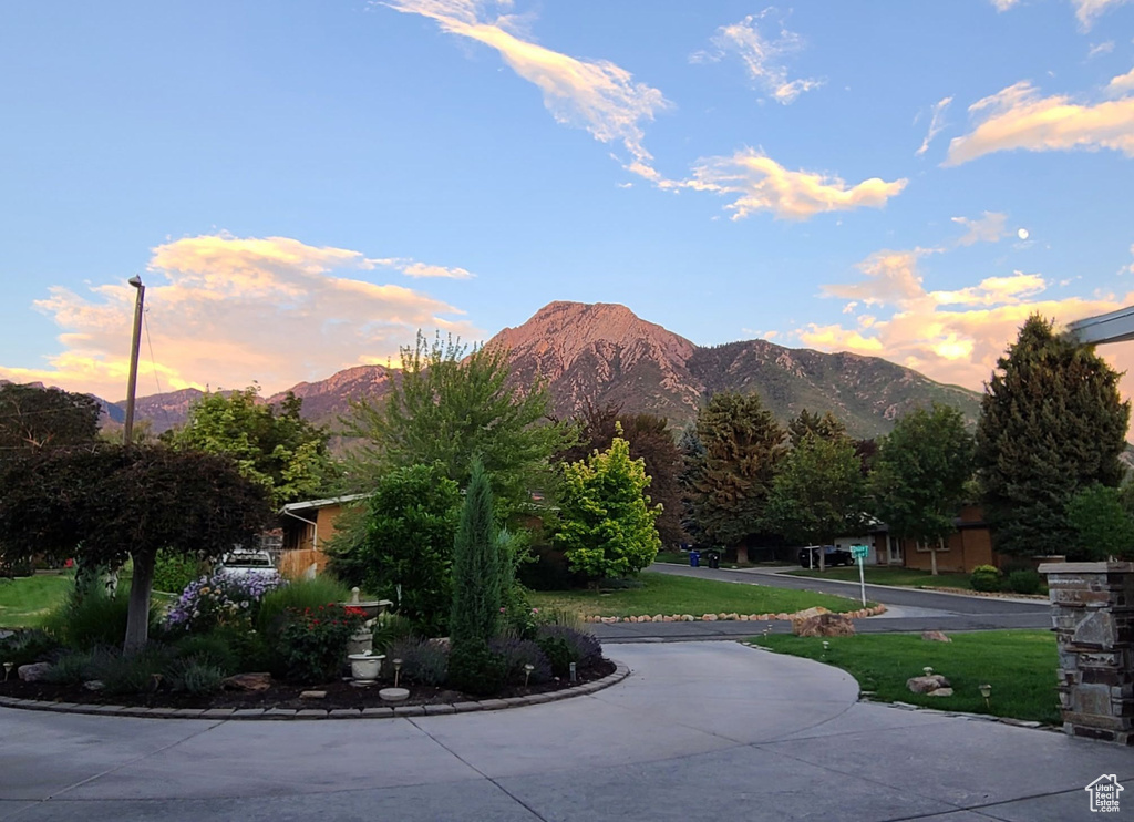 View of property's community with a yard and a mountain view