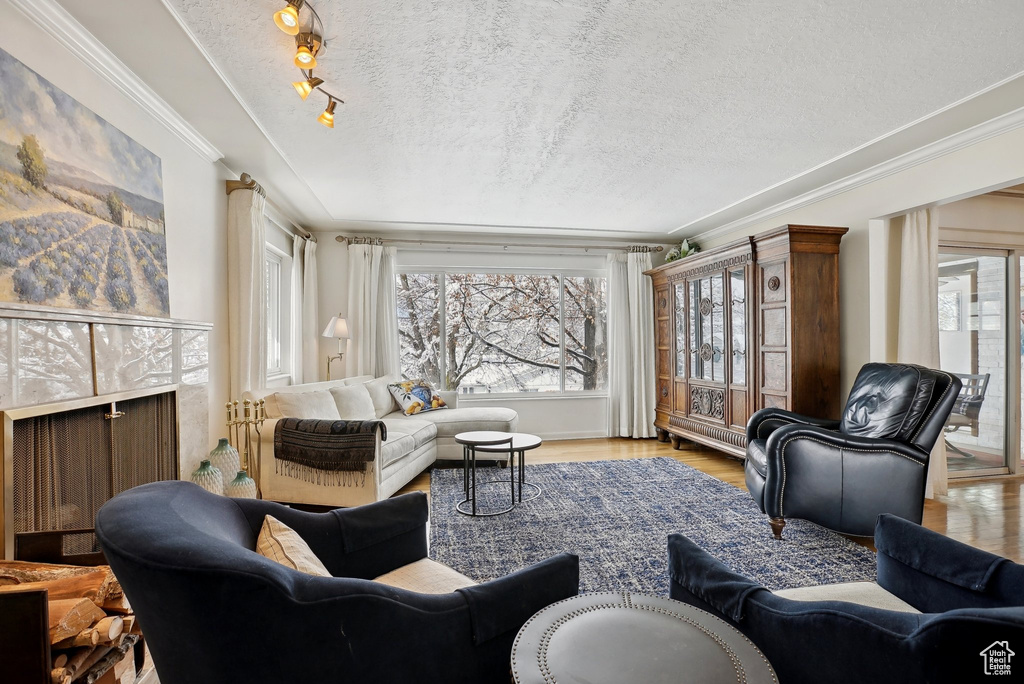 Living room featuring a textured ceiling, ornamental molding, wood finished floors, and track lighting