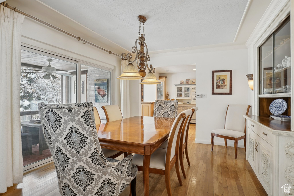 Dining space with light wood-type flooring and crown molding