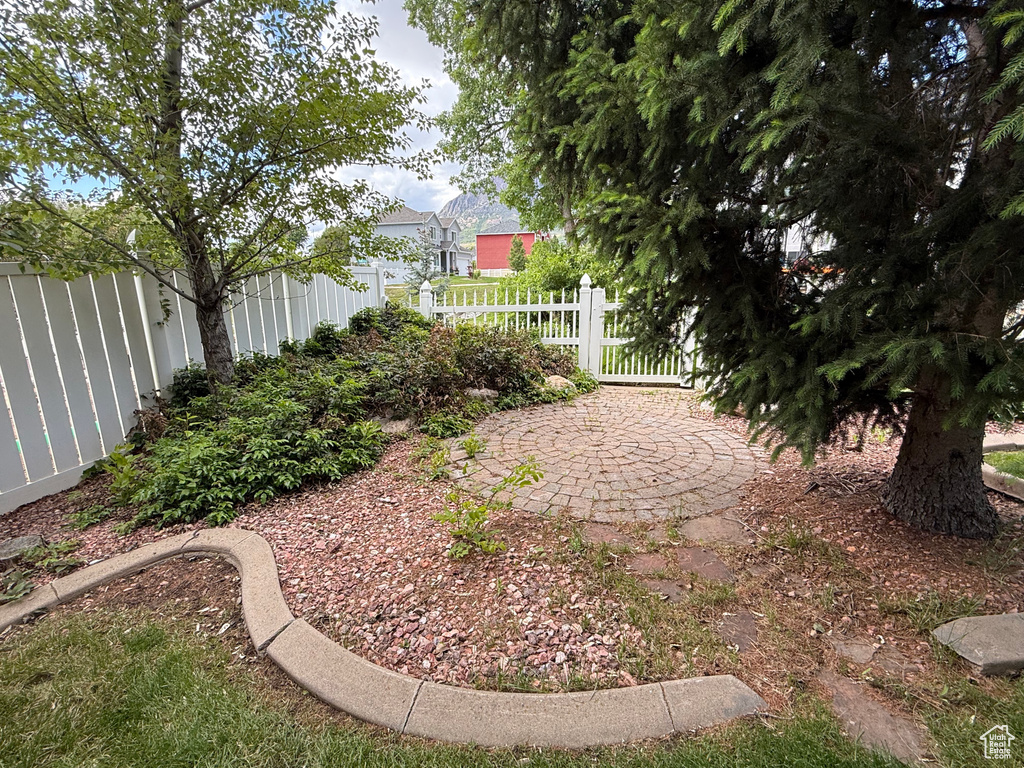View of fenced yard
