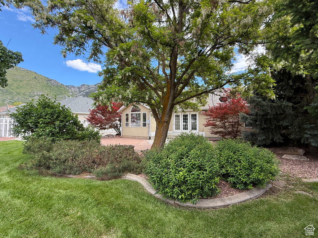 View of green lawn with a mountain view