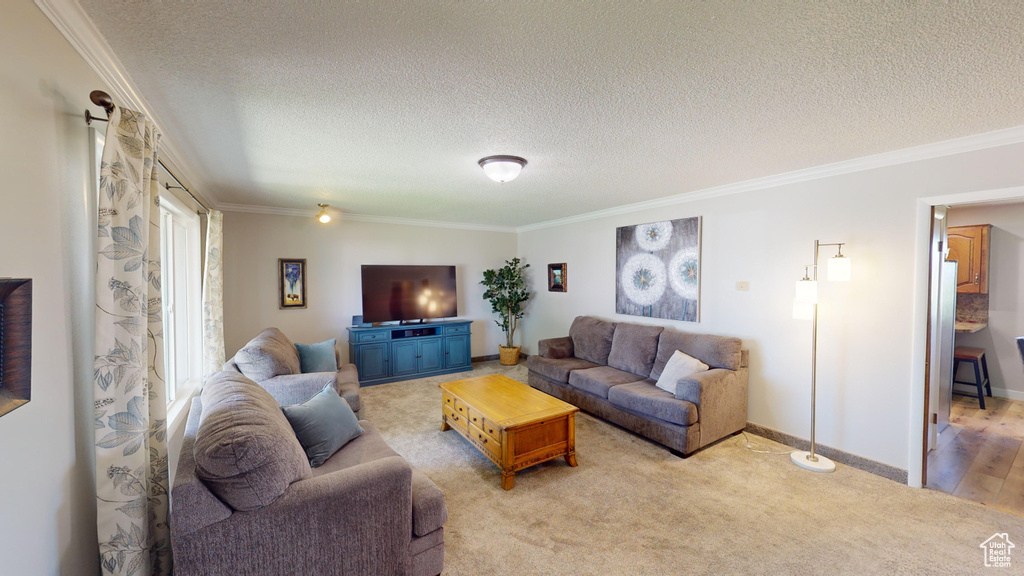 Carpeted living area with baseboards, a textured ceiling, and ornamental molding