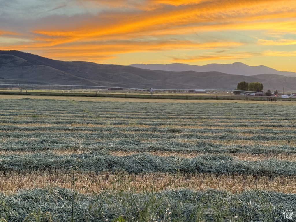 101  BALD MOUNTAIN WAY Montpelier, ID 83254