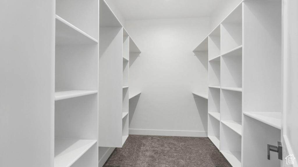 Walk in closet featuring carpet