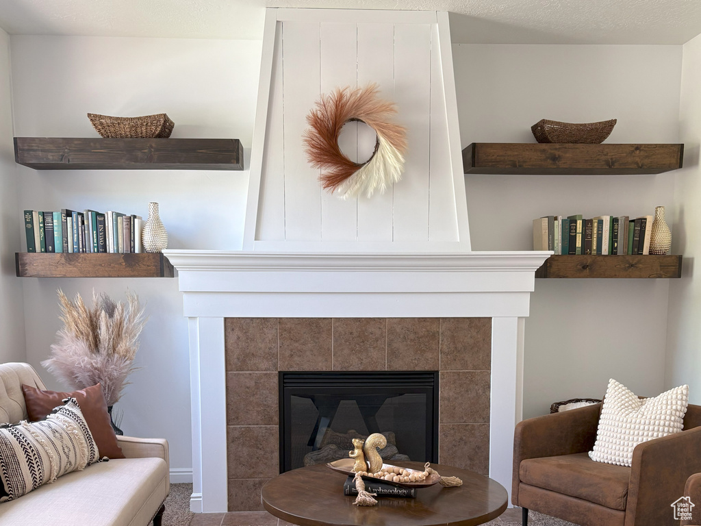 Detailed view of a fireplace and carpet