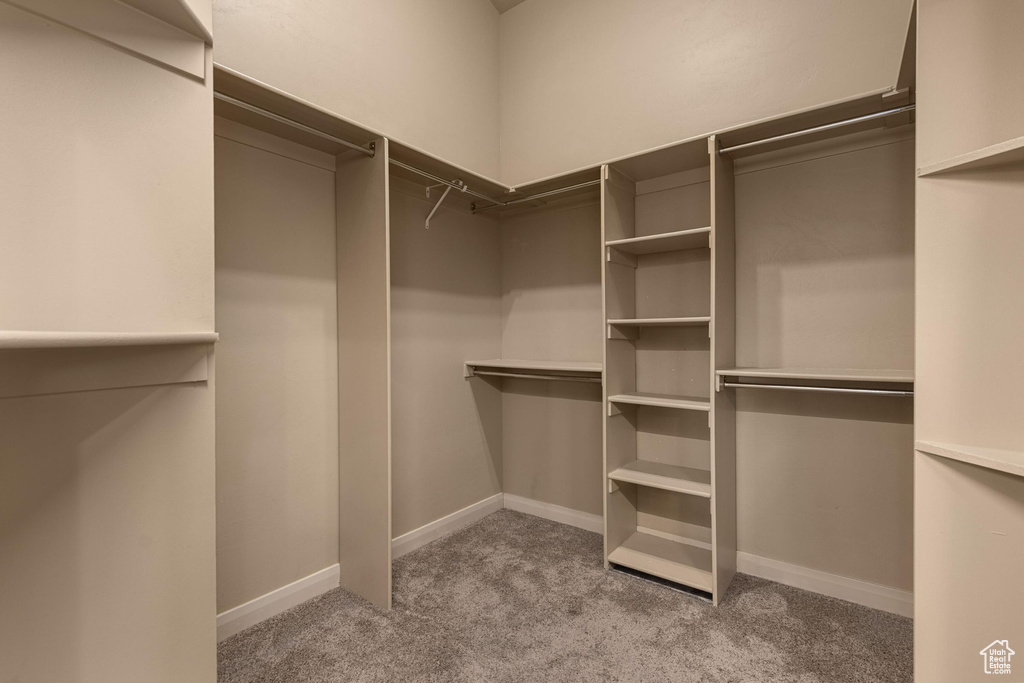 Walk in closet with carpet flooring