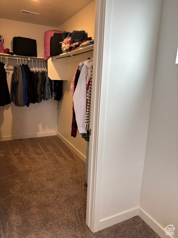 Spacious closet featuring visible vents and carpet
