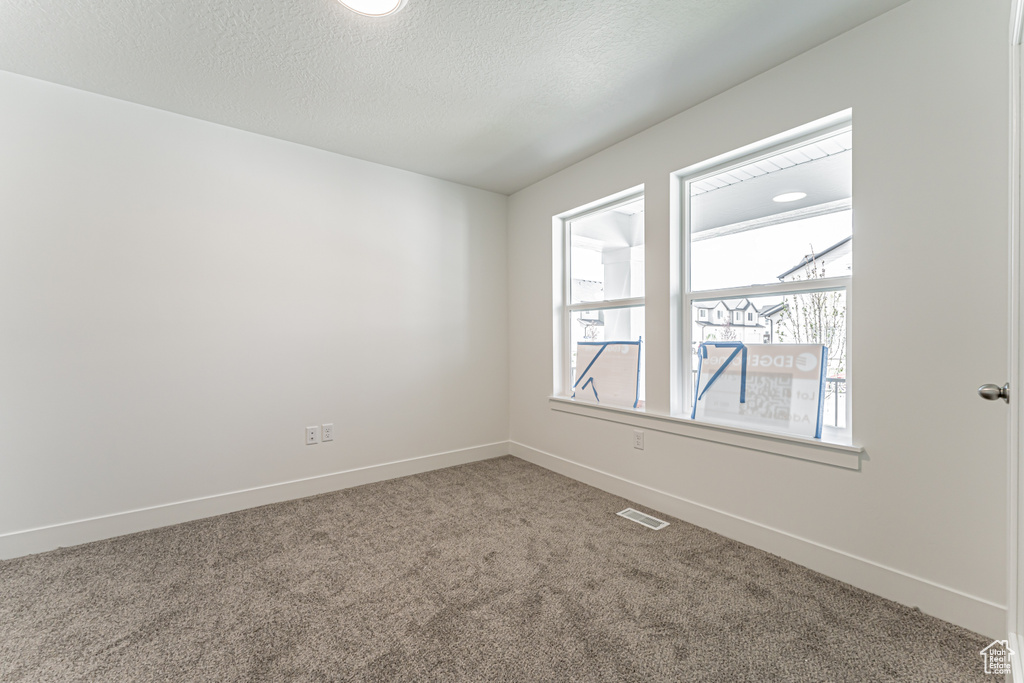 Unfurnished room with carpet flooring and a textured ceiling