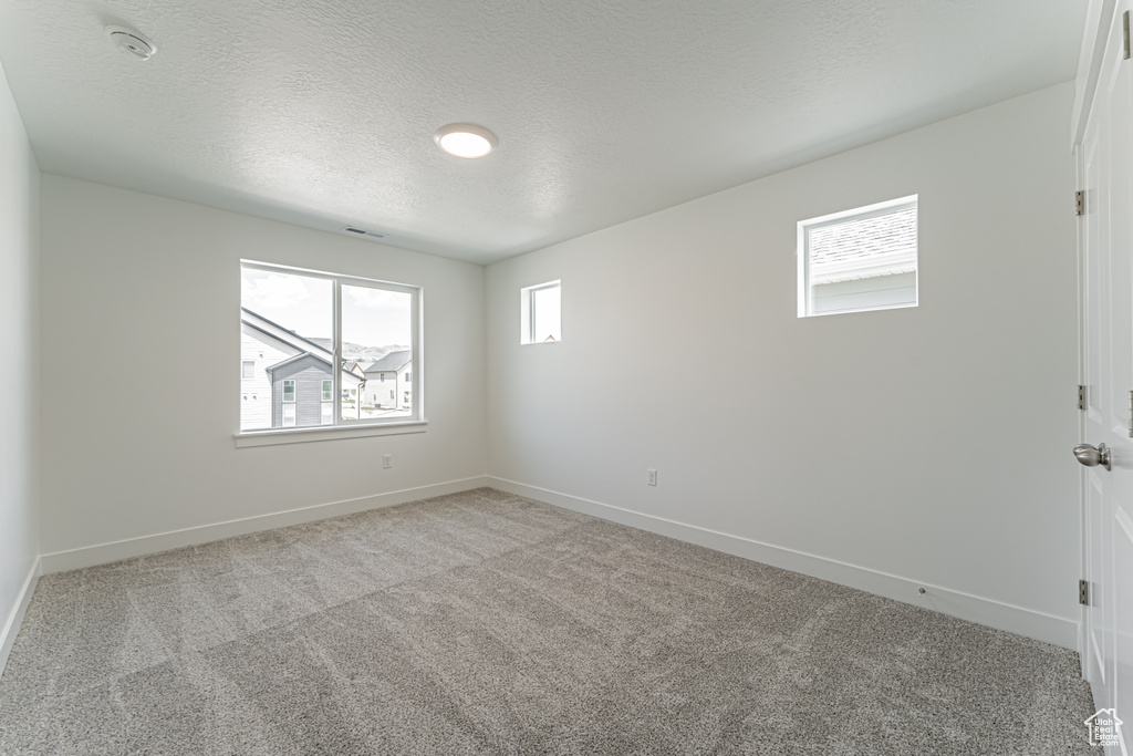 Empty room featuring plenty of natural light, light carpet, a textured ceiling, and a smoke detector