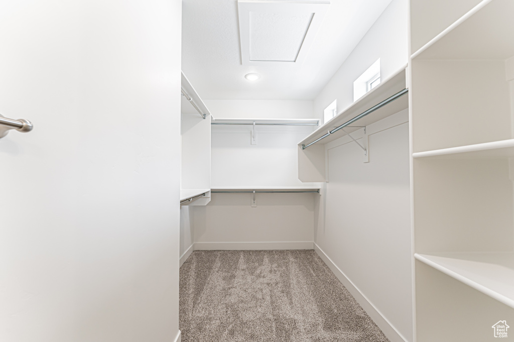 Walk in closet with carpet flooring