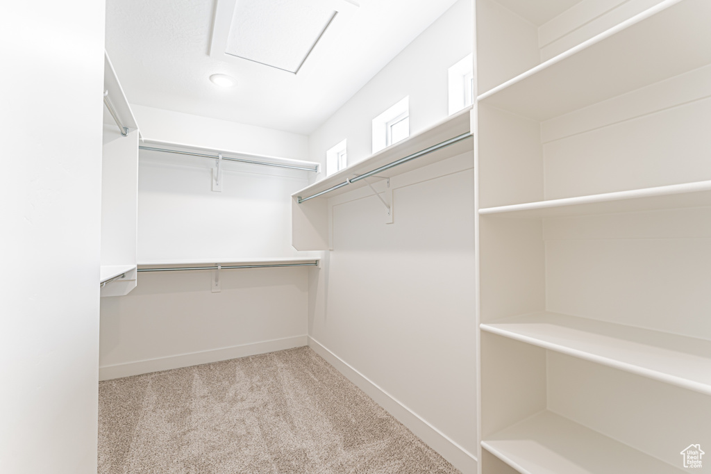 Spacious closet featuring carpet floors