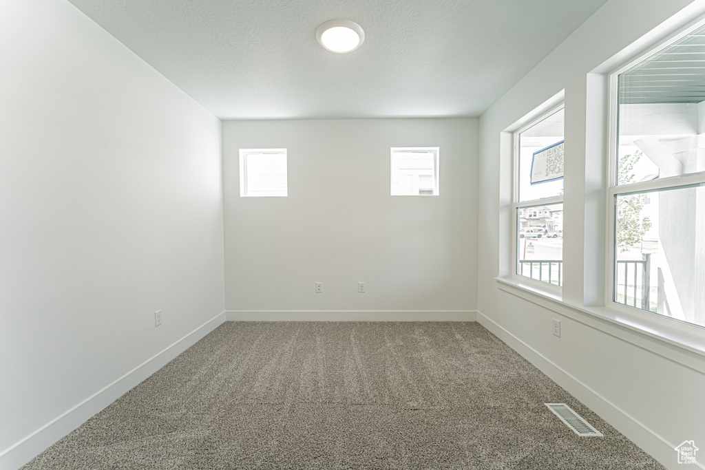 Carpeted spare room featuring healthy amount of natural light