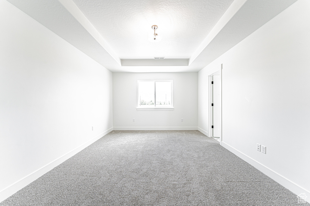 Spare room with a raised ceiling and light colored carpet
