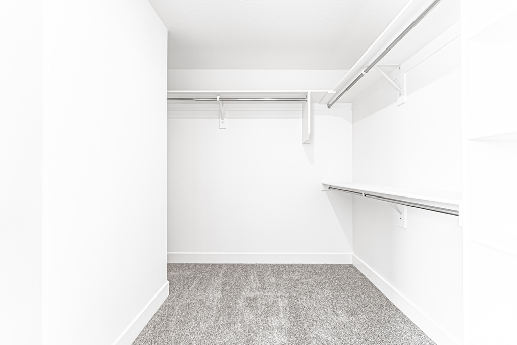 Spacious closet featuring carpet flooring