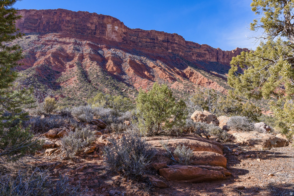 297  HOLYOAK LN Castle Valley, UT 84532