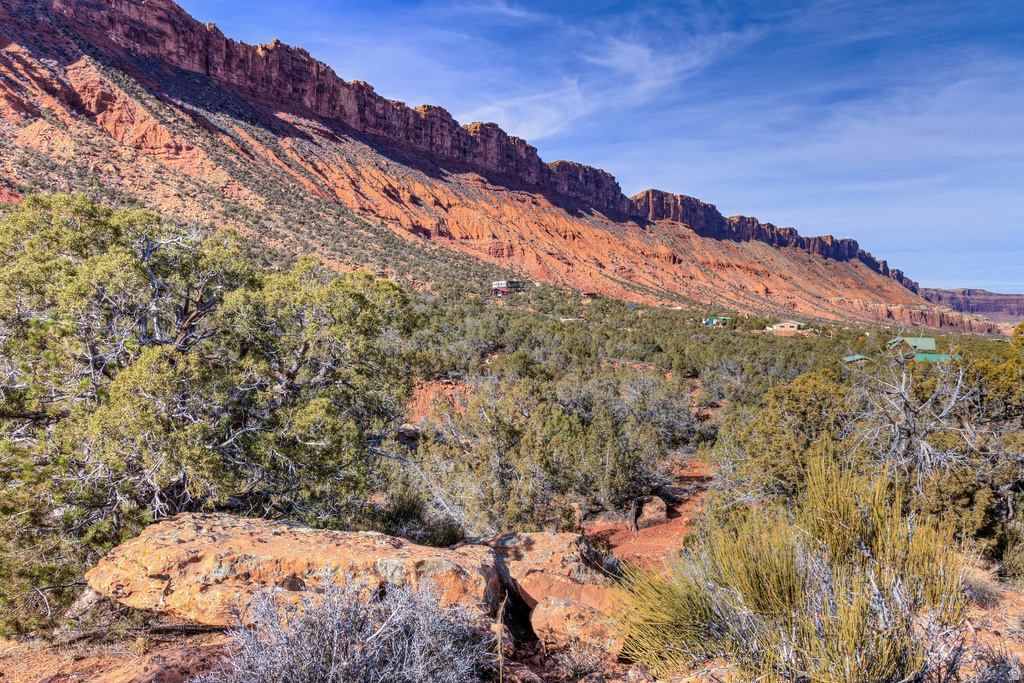 297  HOLYOAK LN Castle Valley, UT 84532