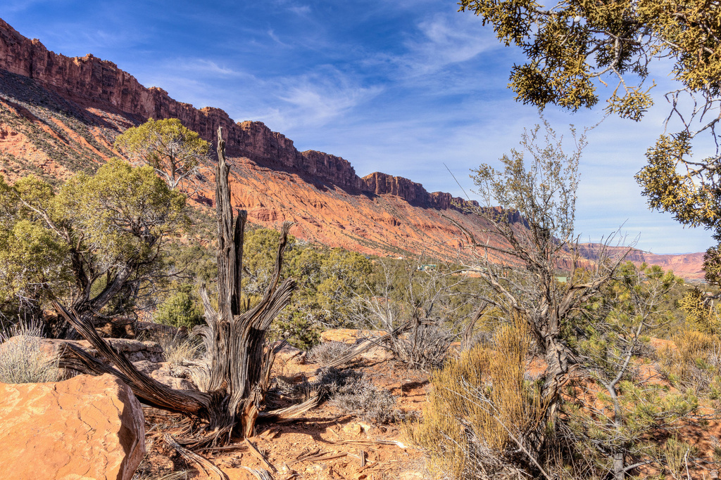 297  HOLYOAK LN Castle Valley, UT 84532