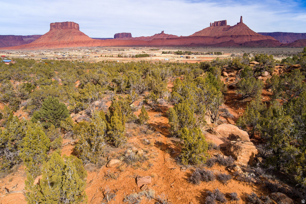 297  HOLYOAK LN Castle Valley, UT 84532