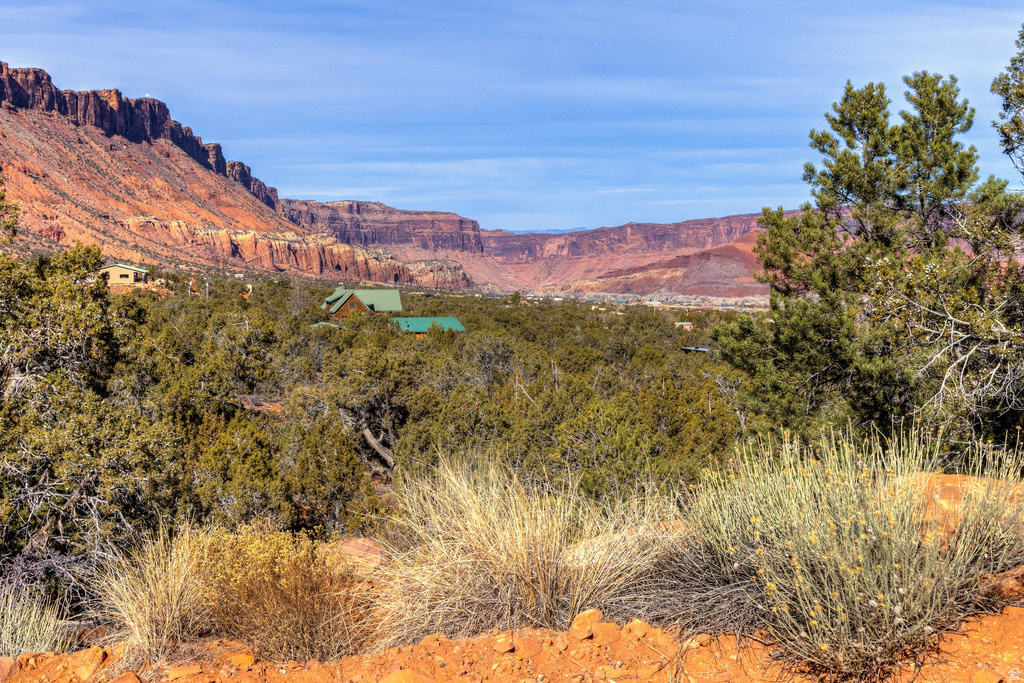 297  HOLYOAK LN Castle Valley, UT 84532