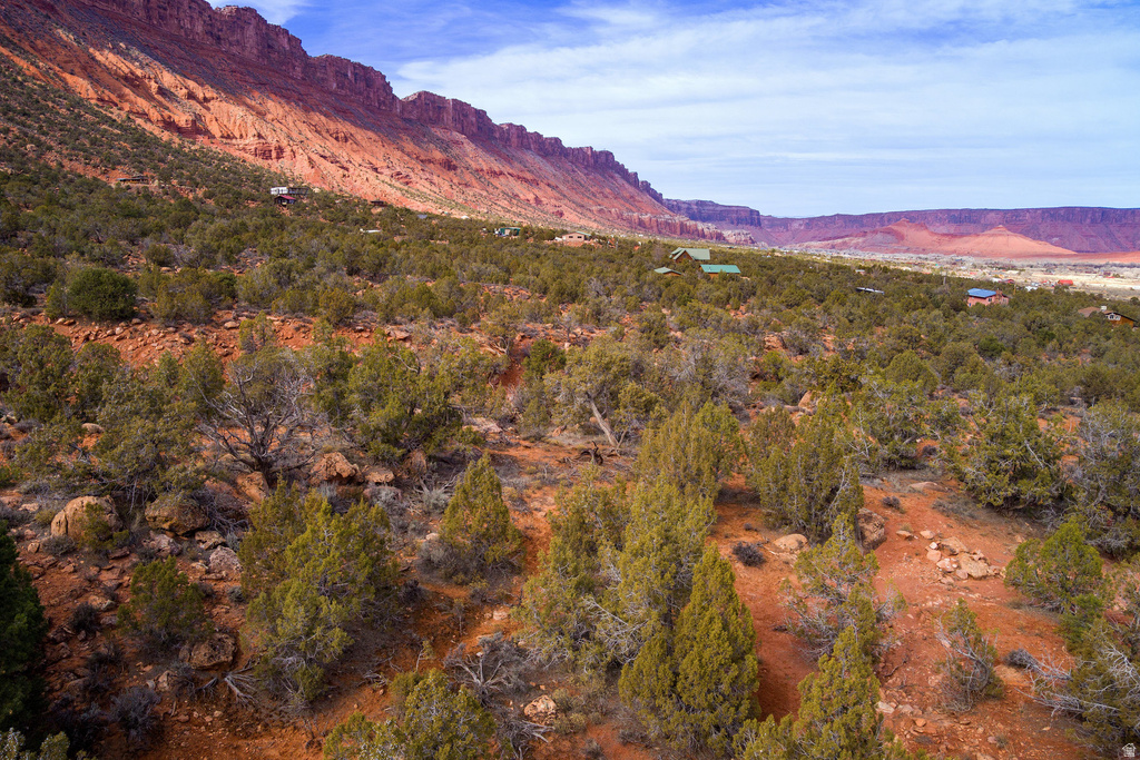 297  HOLYOAK LN Castle Valley, UT 84532